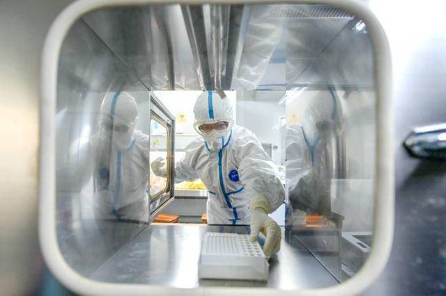 武汉开展全市全员核酸筛查