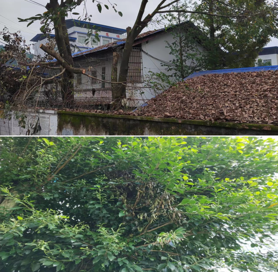 0c96426226ce282e125656bf2c9c94b5.png 0c96426226ce282e125656bf2c9c94b5.png