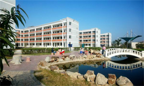 教育部印发通知公布中小学违规办学典型案例