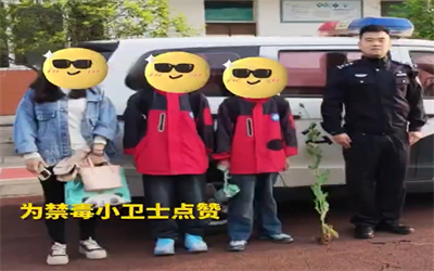 点赞！自贡“小孩哥”上学途中发现罂粟主动报警