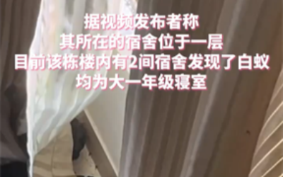 学生宿舍疑似出现大量白蚁，高校回应