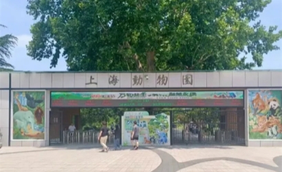 上海动物园通报婴儿喝奶被赶：深表歉意