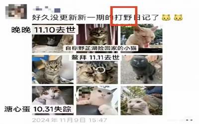 桂林回应虐猫考生事件