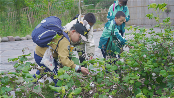 四川17市州春秋假放假安排汇总来了！