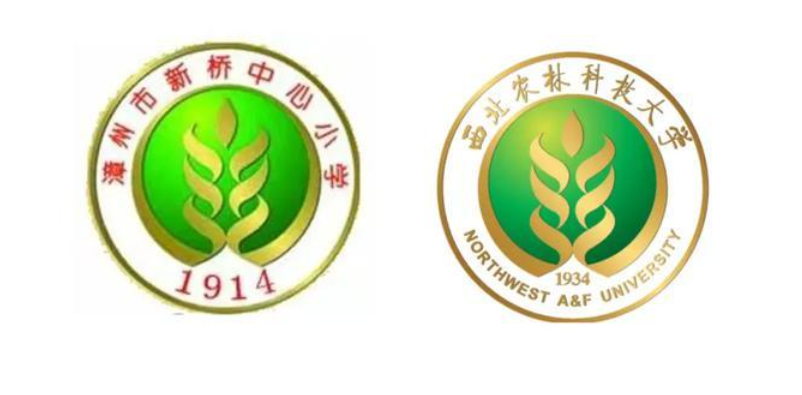 漳州一小学校徽被曝与高校“撞脸”