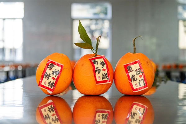 “食力”助考，成都市机械高级技工学校温情护航单招考生