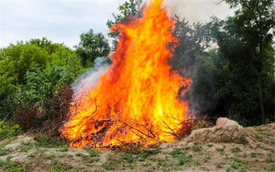 罚！四川查处多起野外违规用火行为