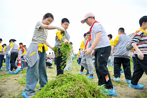 劳动润童心，光华实小学子在实践中传承农耕智慧