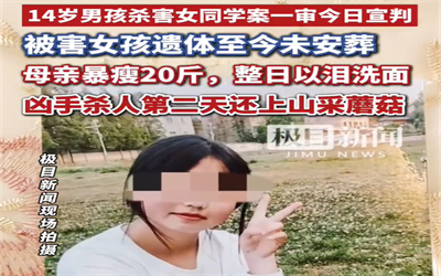 14岁少年杀害同班女同学被判无期徒刑