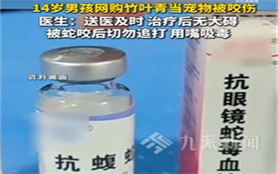 14岁男孩网购竹叶青当宠物被咬