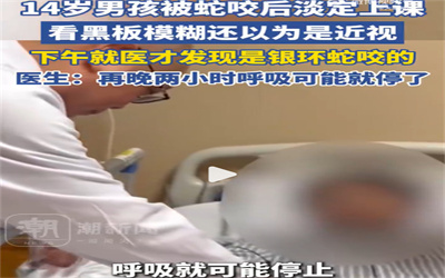 14岁男孩被银环蛇咬后淡定上课