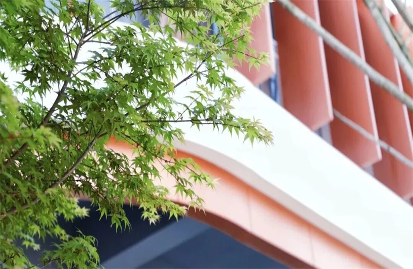 为中小学基本办学条件划底线！四部门联合发文