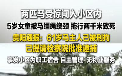 马匹受惊致女童死亡主人已被提请批捕