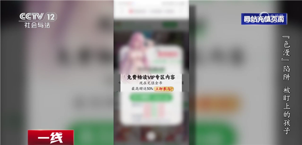 境外团伙搭色情网站围猎中国青少年