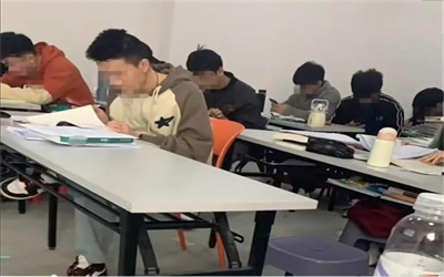 一公司涉无证办专升本培训被责令停业