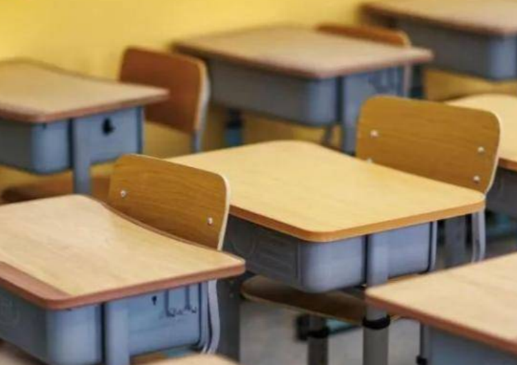 重磅！全国小学、初中将全面开展科学教育“做中学”领航行