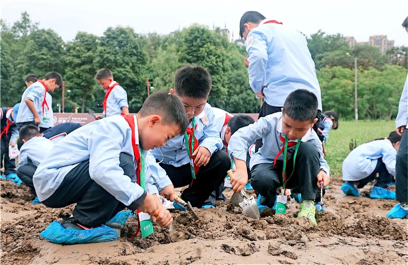 教育部：将在全国推行每周至少半天校外实践教学
